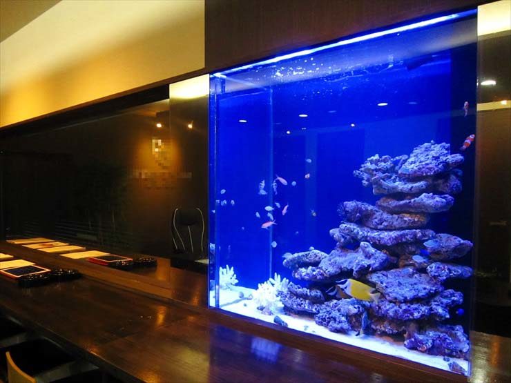 愛知県名古屋市 企業様 82cm海水魚水槽 設置事例 水槽画像1