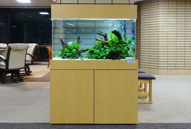 愛知県 介護付き有料老人ホーム様  90cm淡水魚水槽  水槽レンタル事例 水槽画像３
