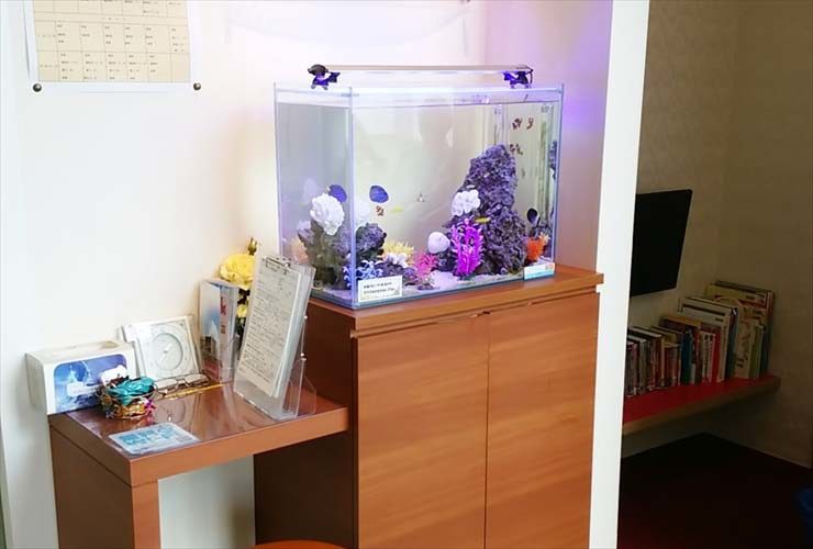 北海道札幌市 歯科医院様 60cm海水魚水槽 レンタル事例 水槽画像3