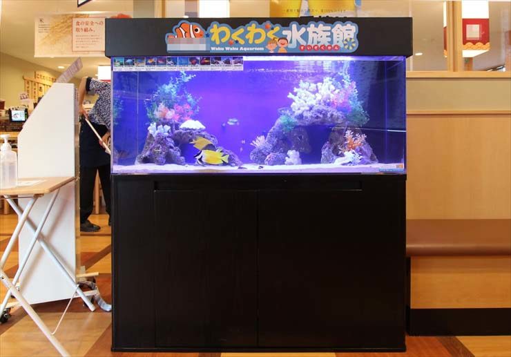 埼玉県所沢市 飲食店様 120cm海水魚水槽 設置事例 水槽画像2