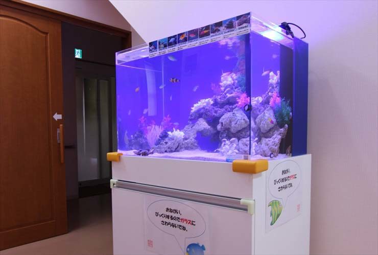 あきる野市 内科小児科クリニック様 60cm海水魚水槽 設置事例のサムネイル画像