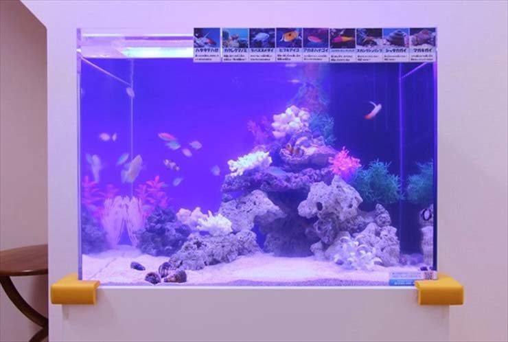 あきる野市 内科小児科クリニック様  60cm海水魚水槽  設置事例 水槽画像２