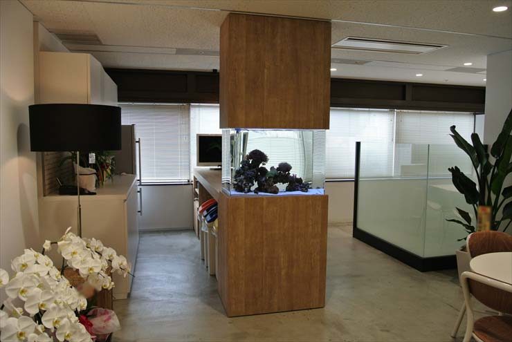 中央区 企業様 80cm海水魚水槽 設置事例のサムネイル画像