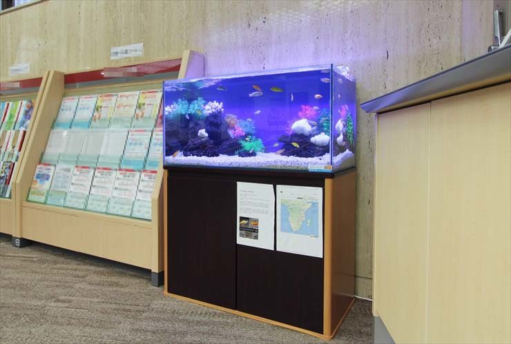 神奈川県横浜市 証券会社様 90cm淡水魚水槽 設置事例のサムネイル画像