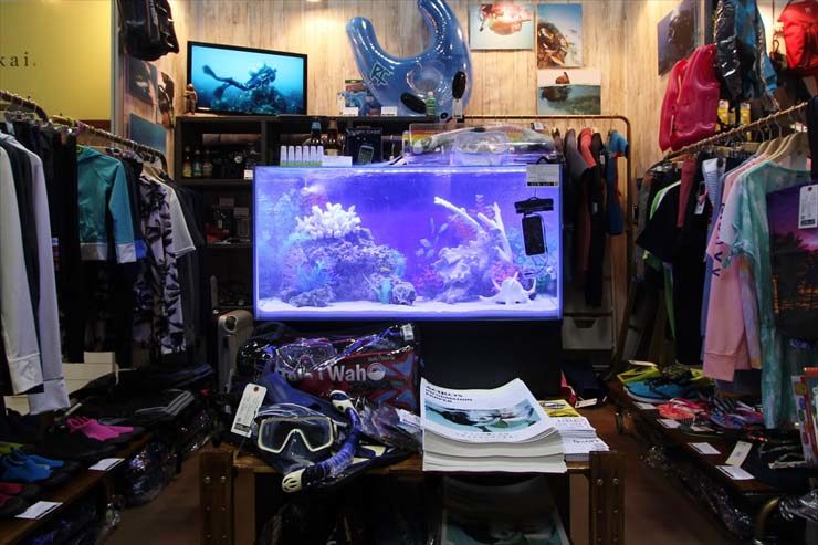 東京ビックサイト 短期イベント 90cm海水魚水槽 設置事例のサムネイル画像