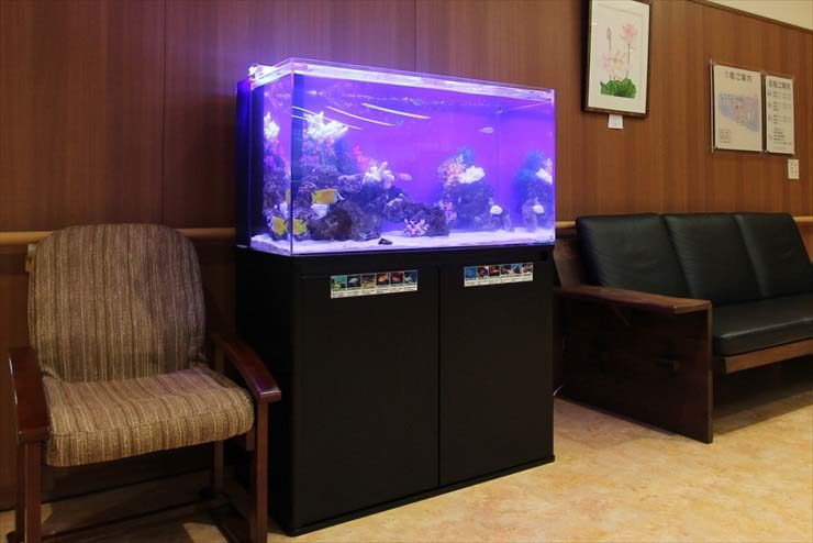 練馬区 老人ホーム様 90cm海水魚水槽 設置事例のサムネイル画像