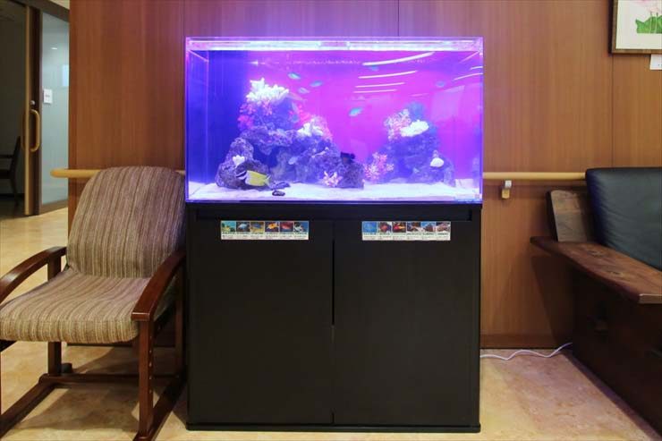 紫の照明が灯る海水魚水槽と黒い水槽台の設置風景