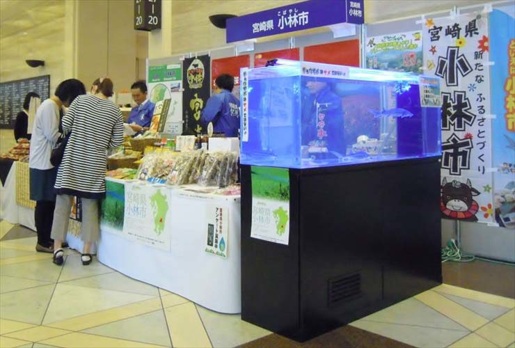 短期イベント  150cm淡水魚水槽  設置事例のサムネイル画像