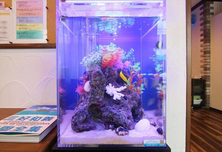 青い照明に照らされた岩と造花のある海水魚水槽
