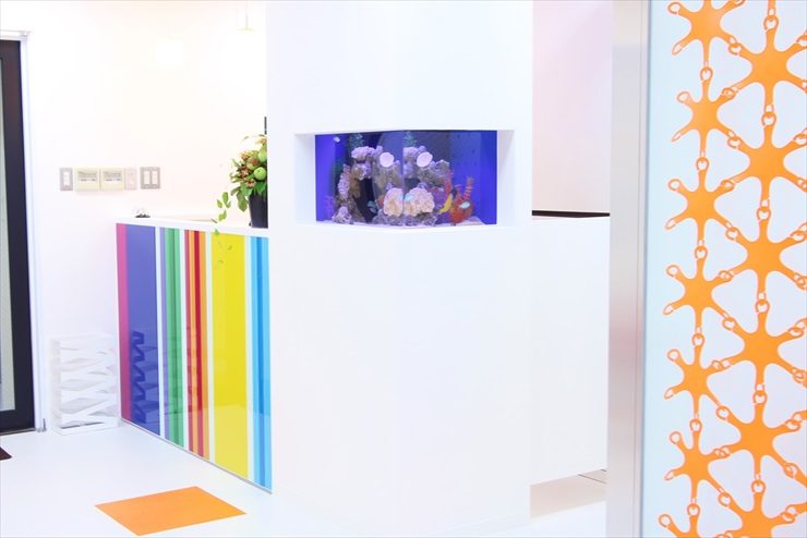サロン様 60cm海水魚水槽 設置事例 水槽画像3