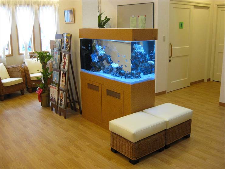 オアシス脳神経クリニック様 120cm海水魚水槽 設置事例 水槽画像1