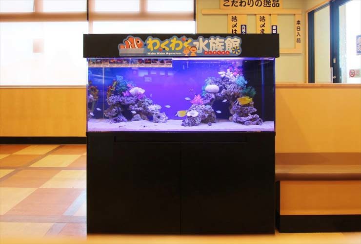 町田市 飲食店様 120cm海水魚水槽 設置事例 水槽画像3