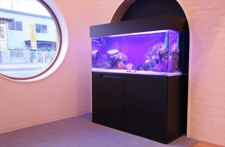 丸窓のある部屋に設置された紫に光る大型海水魚水槽
