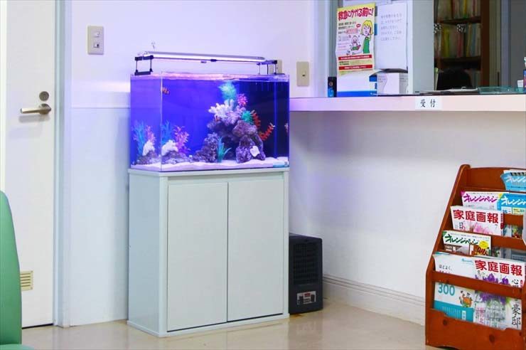 中野区 病院の待合室にレンタル カクレクマノミの入る華やかな水槽 メイン画像