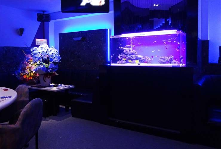 飲食店様 110cm海水魚水槽 レンタル事例のサムネイル画像