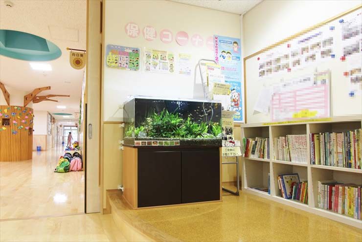 葛飾区 保育園様 90cm淡水魚水槽 水槽レンタル事例のサムネイル画像