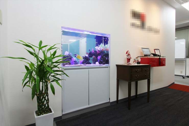港区 企業様 90cm海水魚水槽 リニューアル事例のサムネイル画像