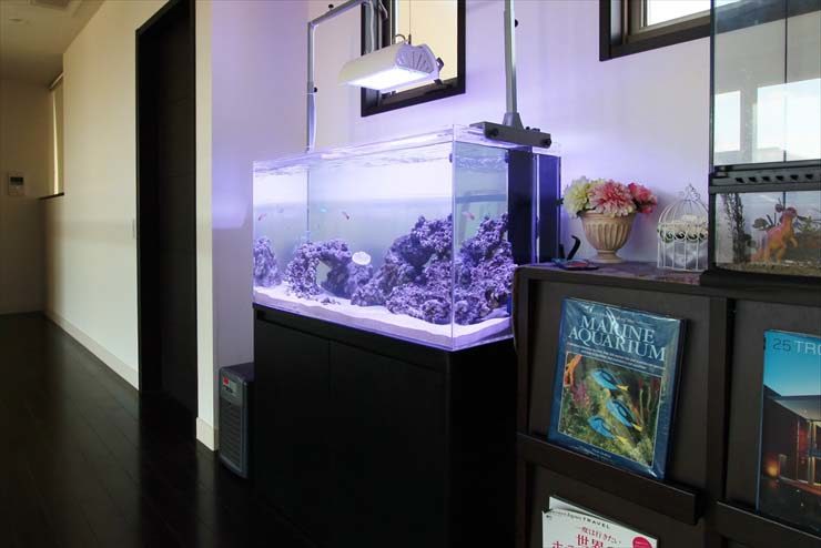個人宅様 90cm海水魚水槽 レンタル事例のサムネイル画像