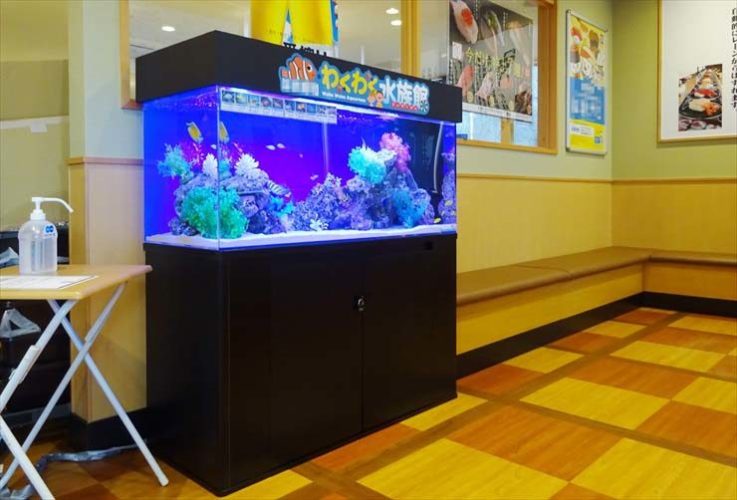 飲食店様  120cm海水魚水槽  水槽レンタル事例のサムネイル画像