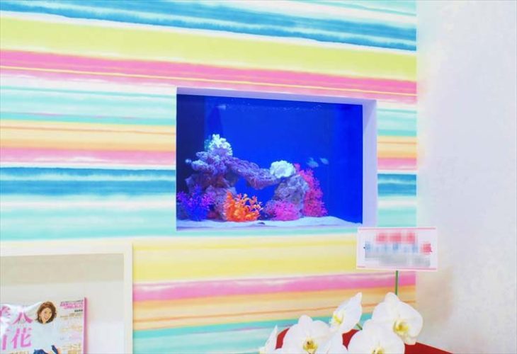 サロン様 60cm海水魚水槽 設置事例のサムネイル画像