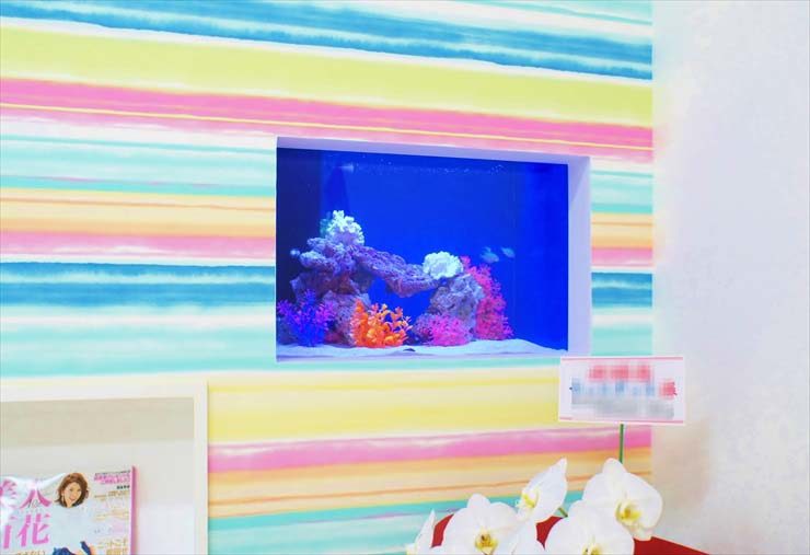 サロン様 60cm海水魚水槽 設置事例 水槽画像1