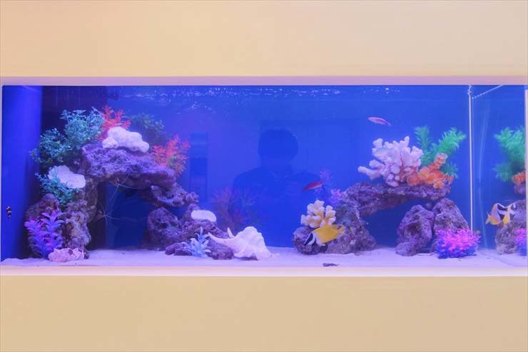 中央区銀座 サロン様 120cm海水魚水槽 設置事例 水槽画像2
