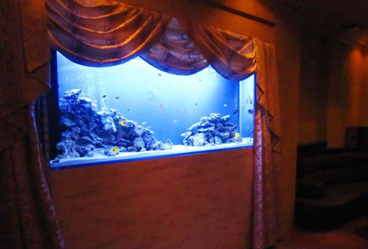 飲食店様 200cm海水魚水槽 設置事例 水槽画像3