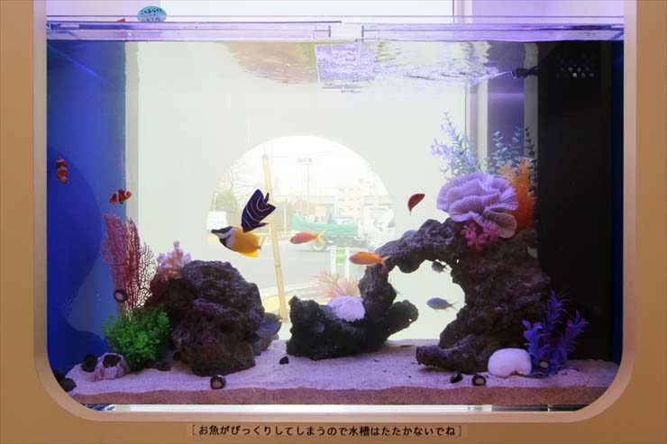 練馬区 歯科医院 95cm海水魚水槽 水槽リース事例 水槽画像3