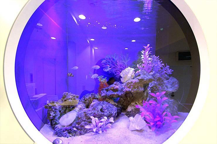 サロン様 60cm海水魚水槽 設置事例 水槽画像2