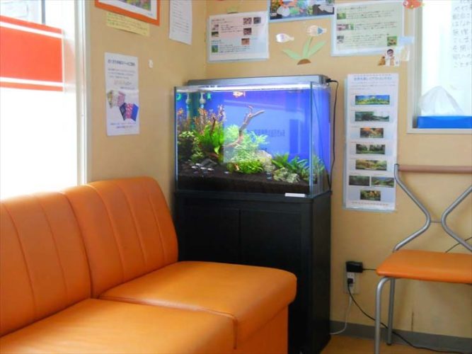 あゆみ薬局様 60cm淡水魚水槽 設置事例のサムネイル画像