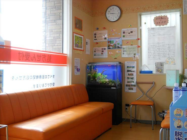 あゆみ薬局様 60cm淡水魚水槽 設置事例 水槽画像2
