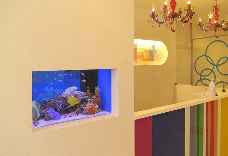 美容サロンの受付 60cm海水魚水槽 設置事例 水槽画像1