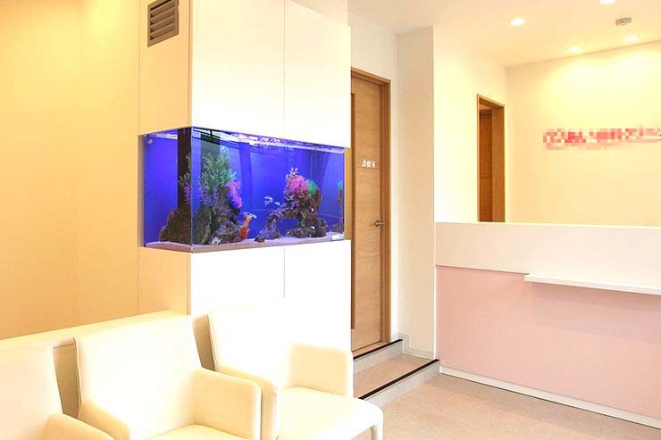 八王子市 歯科クリニック 110cm海水魚水槽リース事例のサムネイル画像