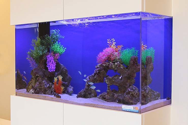 八王子市 歯科クリニック 110cm海水魚水槽リース事例 水槽画像2