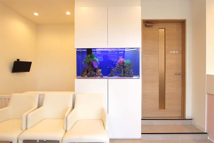 八王子市 歯科クリニック 110cm海水魚水槽リース事例 水槽画像3