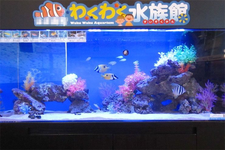 飲食店 待合スペース 120cm海水魚水槽 レンタル事例のサムネイル画像