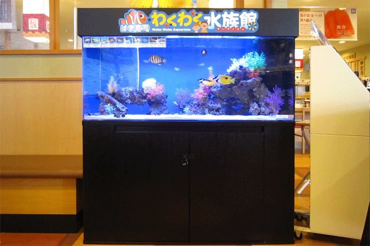 飲食店 待合スペース 120cm海水魚水槽 レンタル事例 水槽画像2