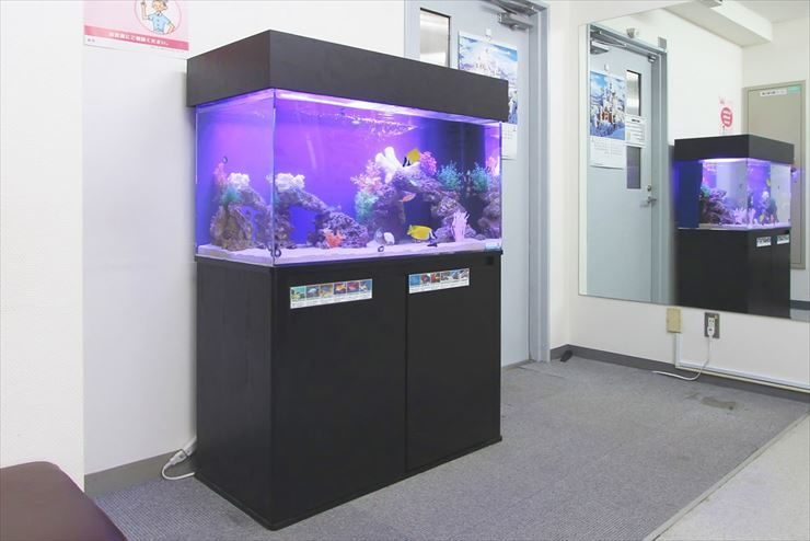横浜市 内科皮膚科クリニック 90cm海水魚水槽 設置事例のサムネイル画像