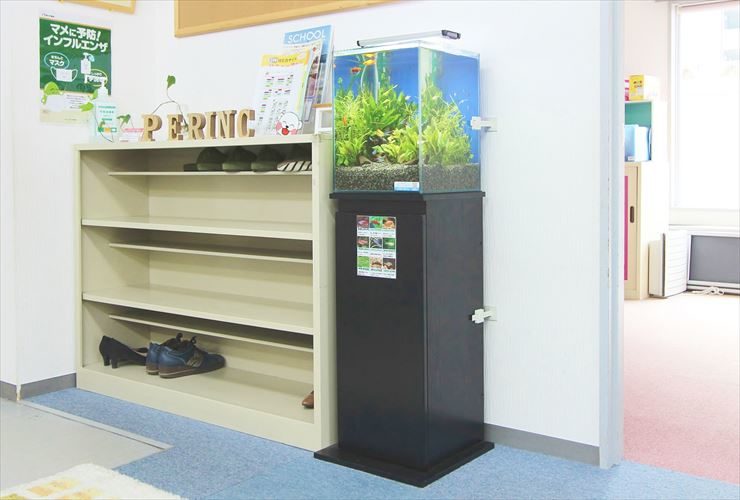 東京アクアガーデン 学校 施設