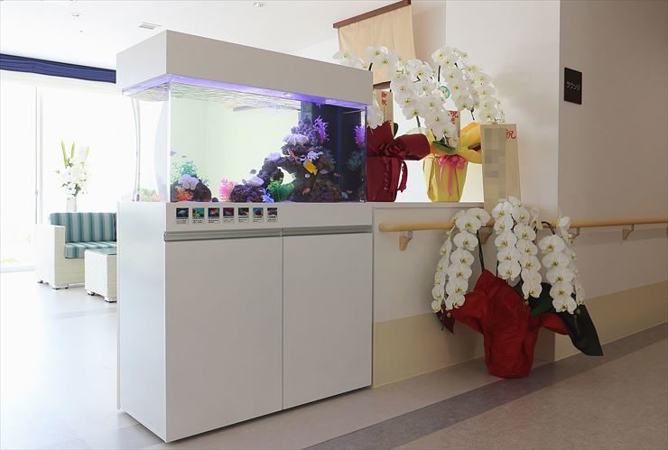 アシステッドリビング湘南佐島様  90cm海水魚水槽レンタル事例 メイン画像