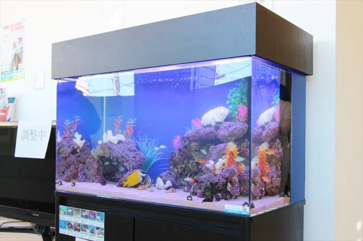 横浜市 診療所 待合スペース 90cm海水魚水槽 レンタル事例のサムネイル画像