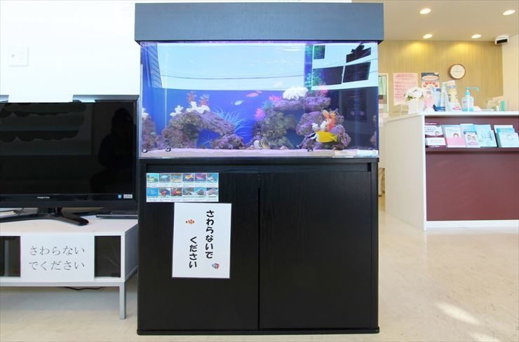 横浜市 診療所 待合スペース 90cm海水魚水槽 レンタル事例 水槽画像2