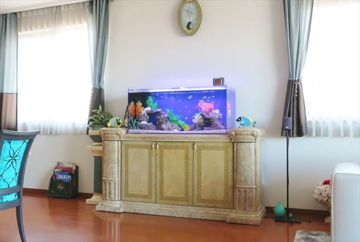 新宿区 個人宅 海水魚水槽 設置事例