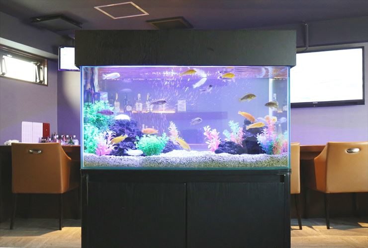 台東区 飲食店 90cm淡水魚水槽 水槽レンタル事例のサムネイル画像