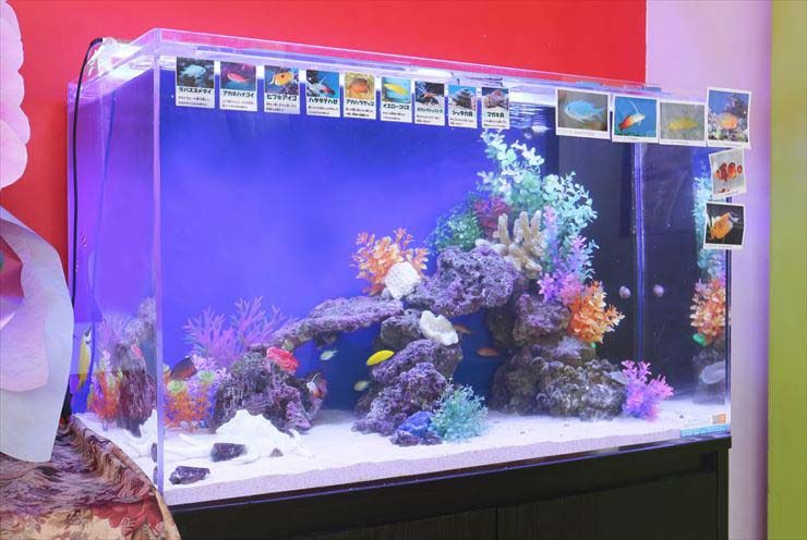 Kインターナショナルスクール 様のレビュー