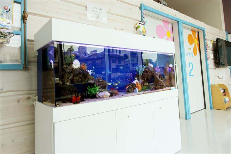こどもクリニックで人気を集める、アニメ映画のような150cm海水魚水槽（ナンヨウハギやカクレクマノミが泳ぐ、こども向け大型海水魚水槽）