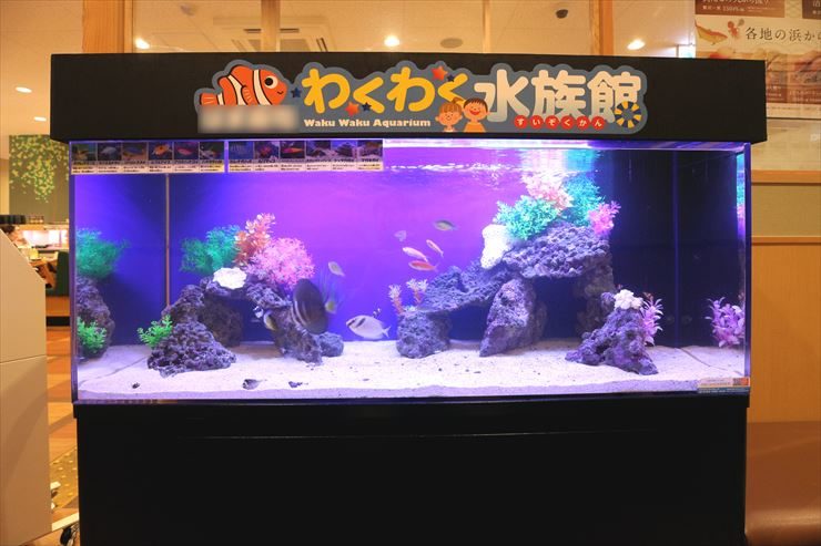 神奈川県川崎市 飲食店 120cm海水魚水槽 設置事例のサムネイル画像