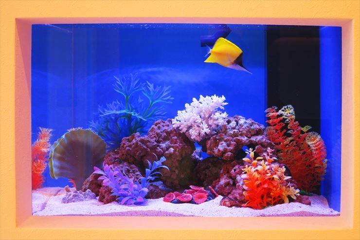美容サロン 受付 60cm海水魚水槽 設置事例 メイン画像