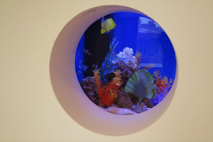 美容サロン 受付 60cm海水魚水槽 設置事例 水槽画像3