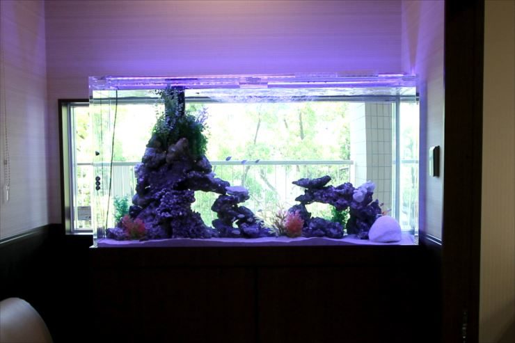 兵庫県神戸市 皮膚科 150cm海水魚水槽 設置事例 水槽画像3